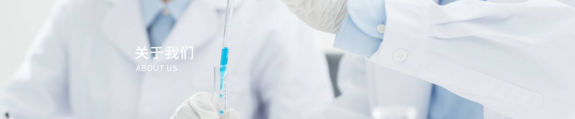 关于我们